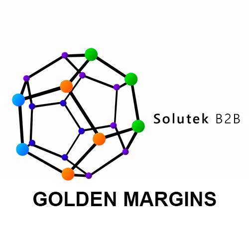 Soporte técnico de monitores Golden Margins