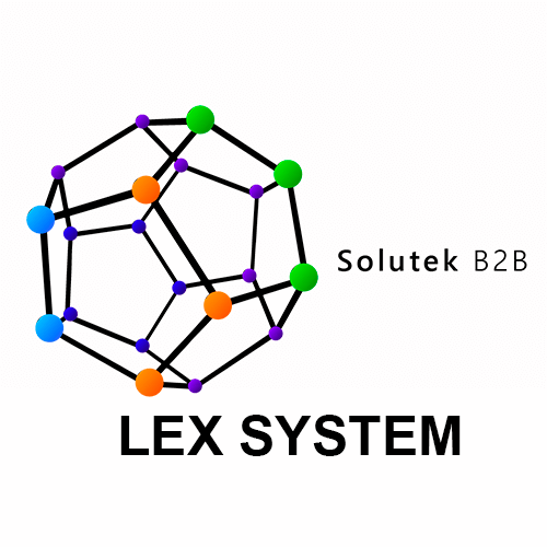 Soporte técnico de monitores industriales Lex System